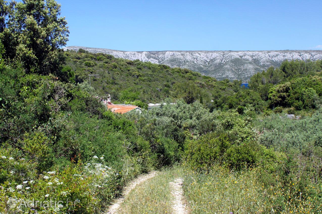 Mostir - Šćedro na ostrove Hvar (Srednja Dalmacija)