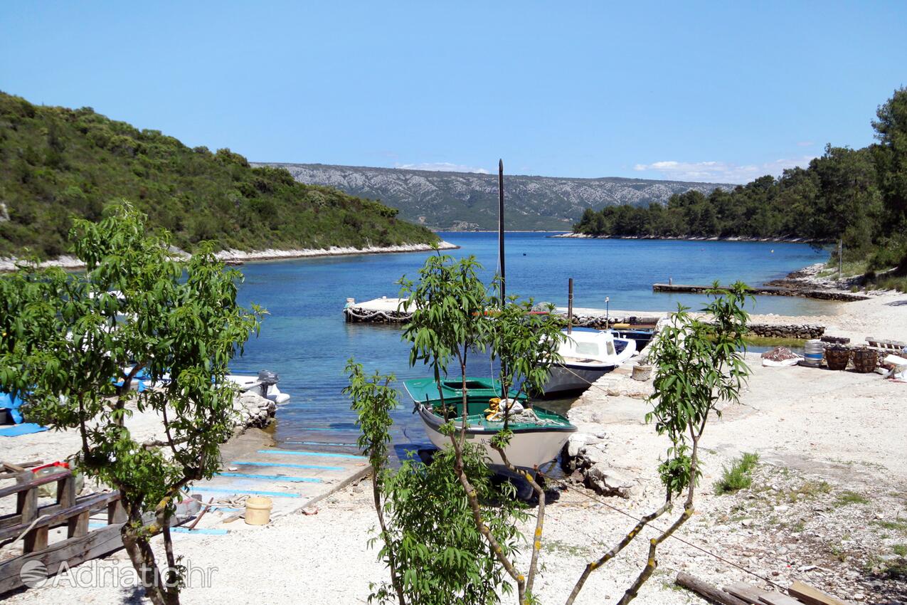 Mostir - Šćedro na ostrove Hvar (Srednja Dalmacija)