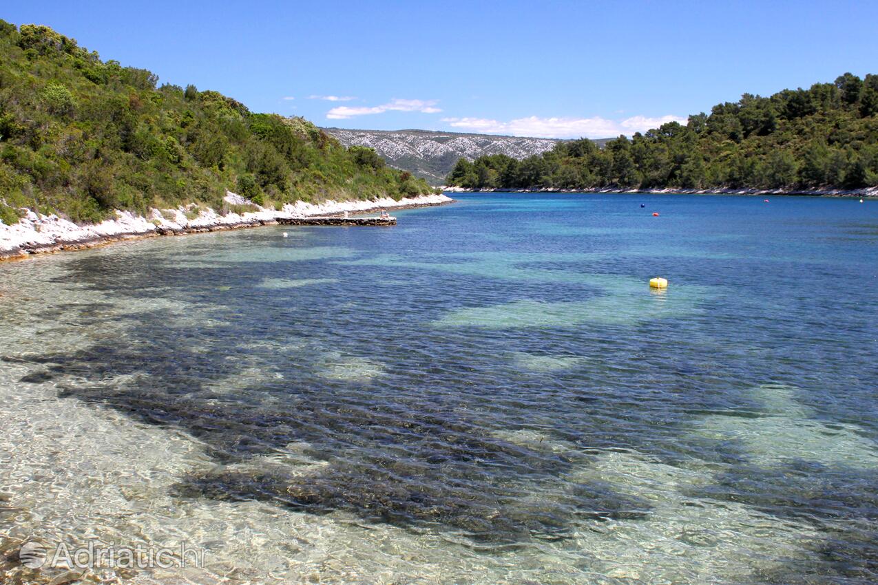 Mostir - Šćedro na ostrove Hvar (Srednja Dalmacija)