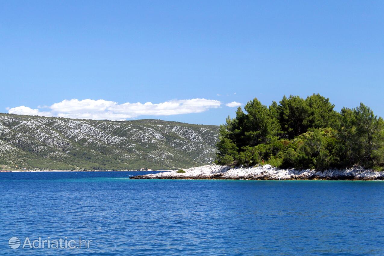 Mostir - Šćedro na ostrove Hvar (Srednja Dalmacija)