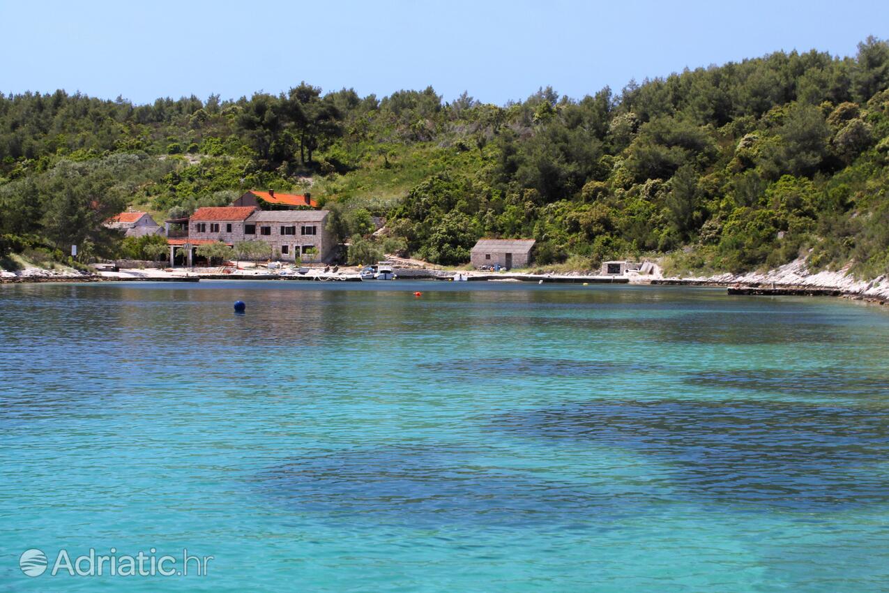 Mostir - Šćedro na ostrove Hvar (Srednja Dalmacija)