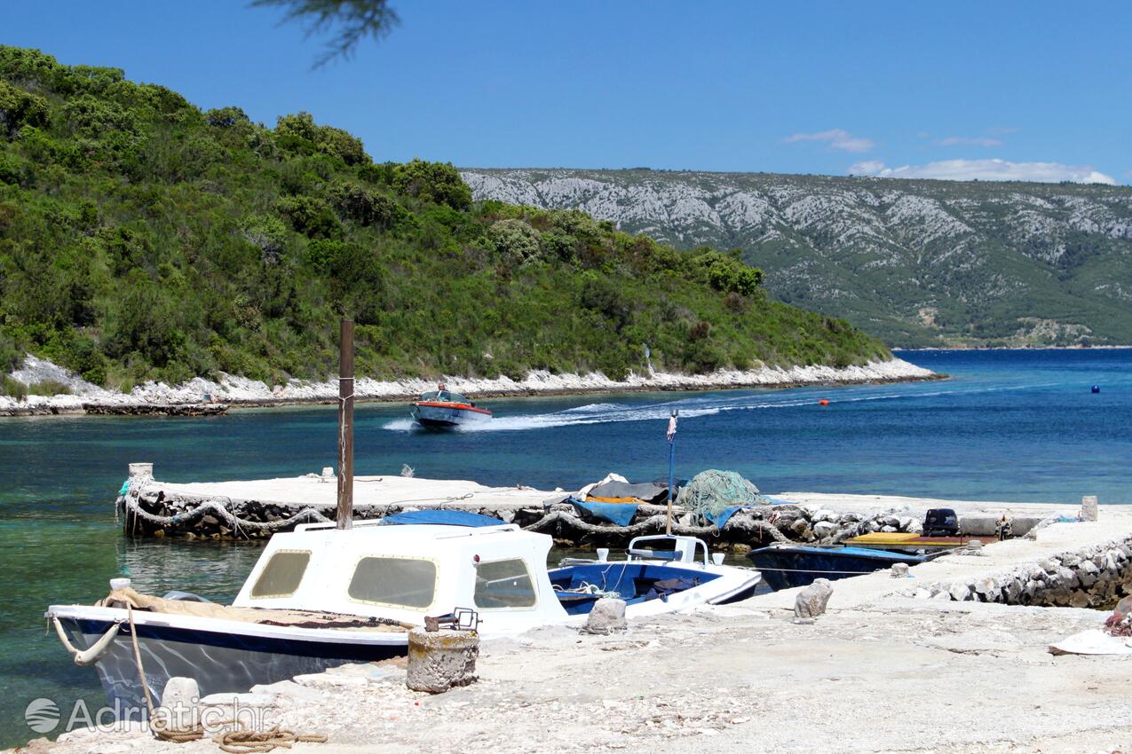 Mostir - Šćedro na ostrove Hvar (Srednja Dalmacija)