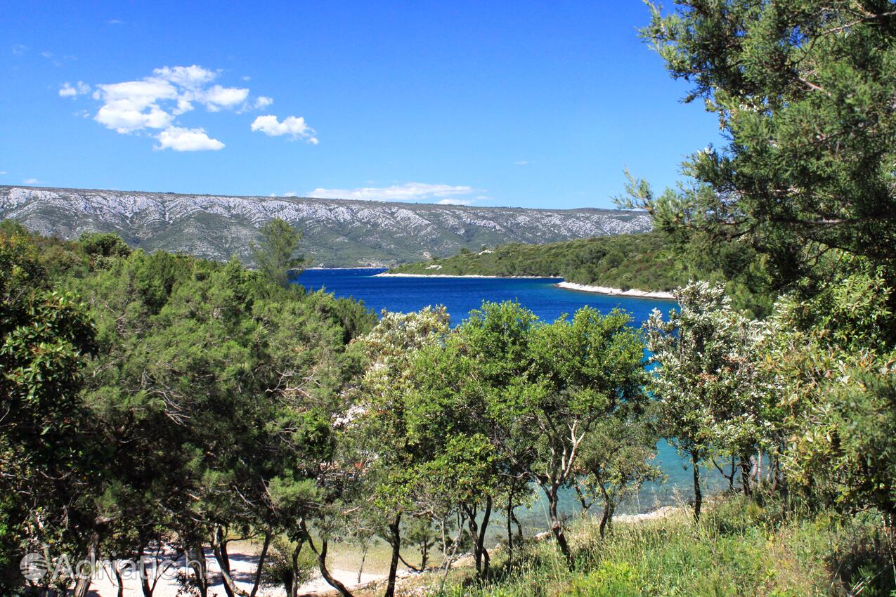 Karkavac - Šćedro na ostrově Hvar (Srednja Dalmacija)