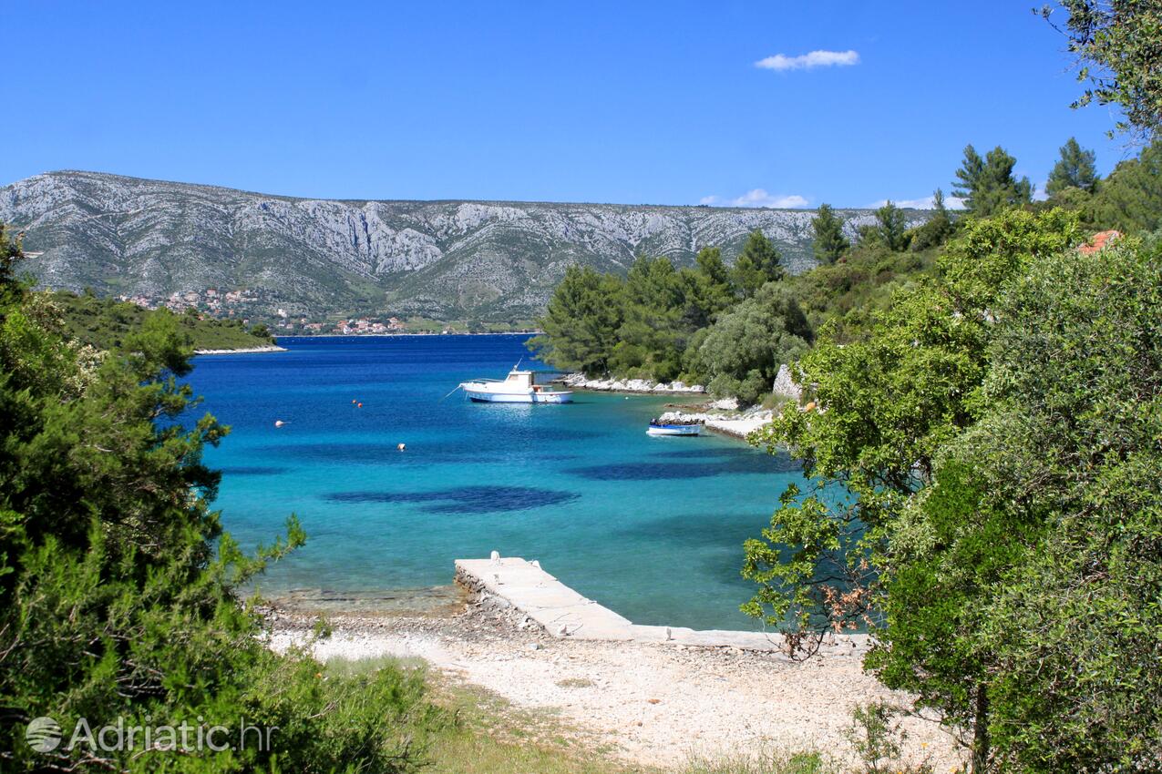 Karkavac - Šćedro auf der Insel  Hvar (Srednja Dalmacija)