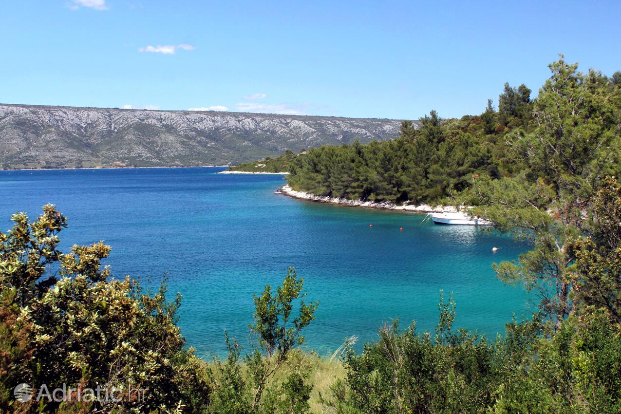 Karkavac - Šćedro auf der Insel  Hvar (Srednja Dalmacija)