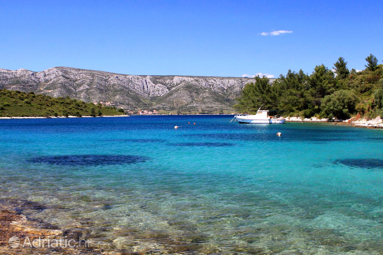 Karkavac - Šćedro auf der Insel  Hvar (Srednja Dalmacija)