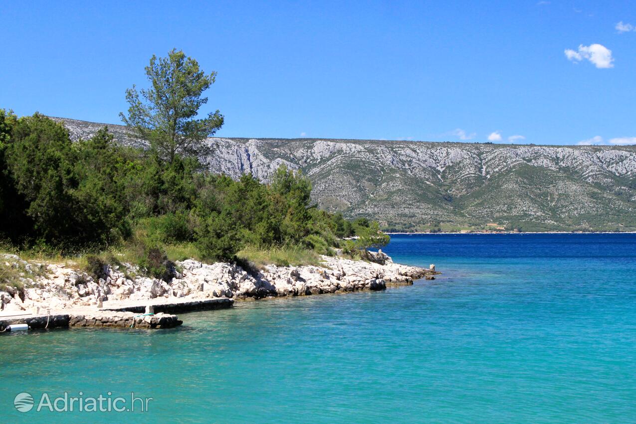 Karkavac - Šćedro na ostrově Hvar (Srednja Dalmacija)