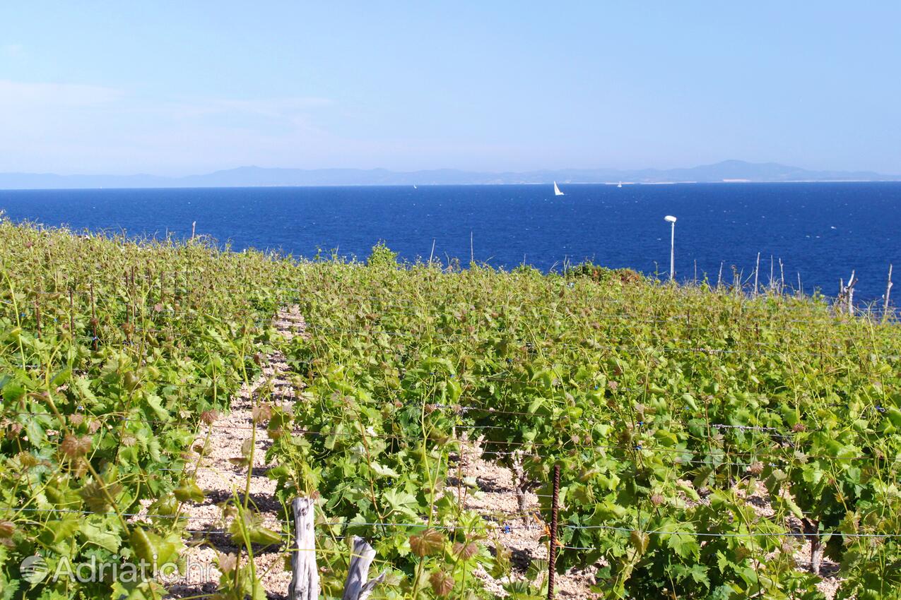 Zaraće sur l’île Hvar (Srednja Dalmacija)