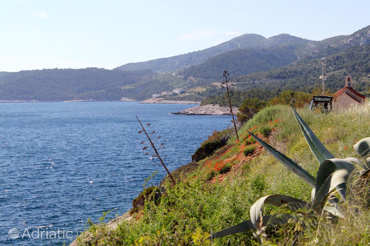 Zaraće (Dubovica) på otoku Hvar (Srednja Dalmacija)