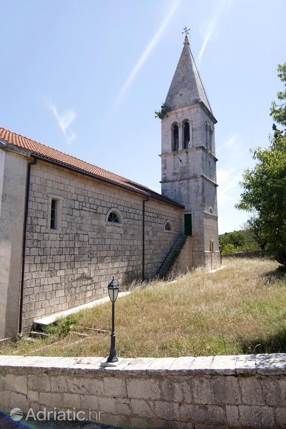 Dračevica en la isla Brač (Srednja Dalmacija)