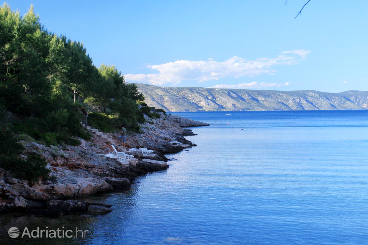 Rosohotnica op de route Hvar (Srednja Dalmacija)