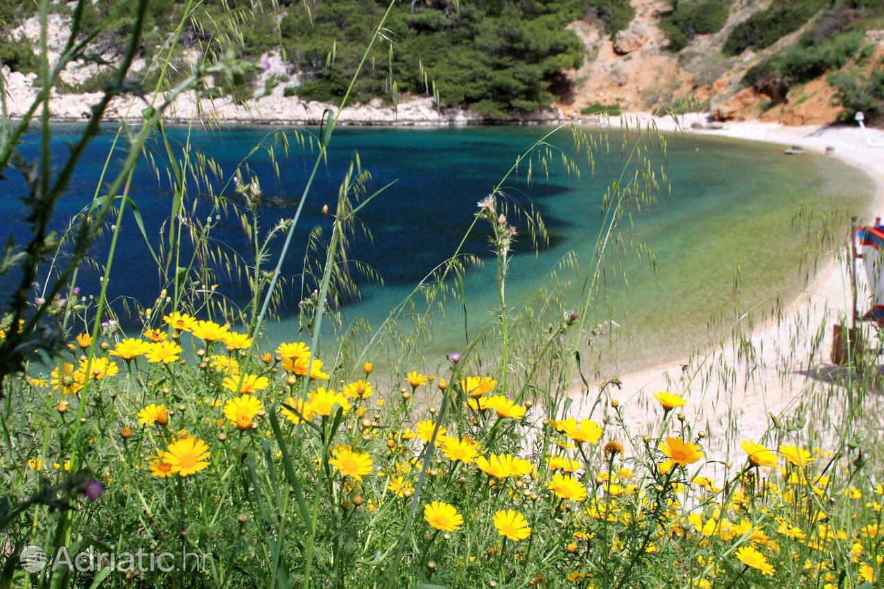 Stiniva (Brusje) на острове Hvar (Srednja Dalmacija)