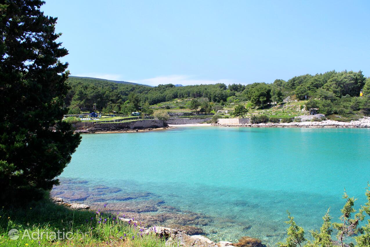 Grebišće острові Hvar (Srednja Dalmacija)