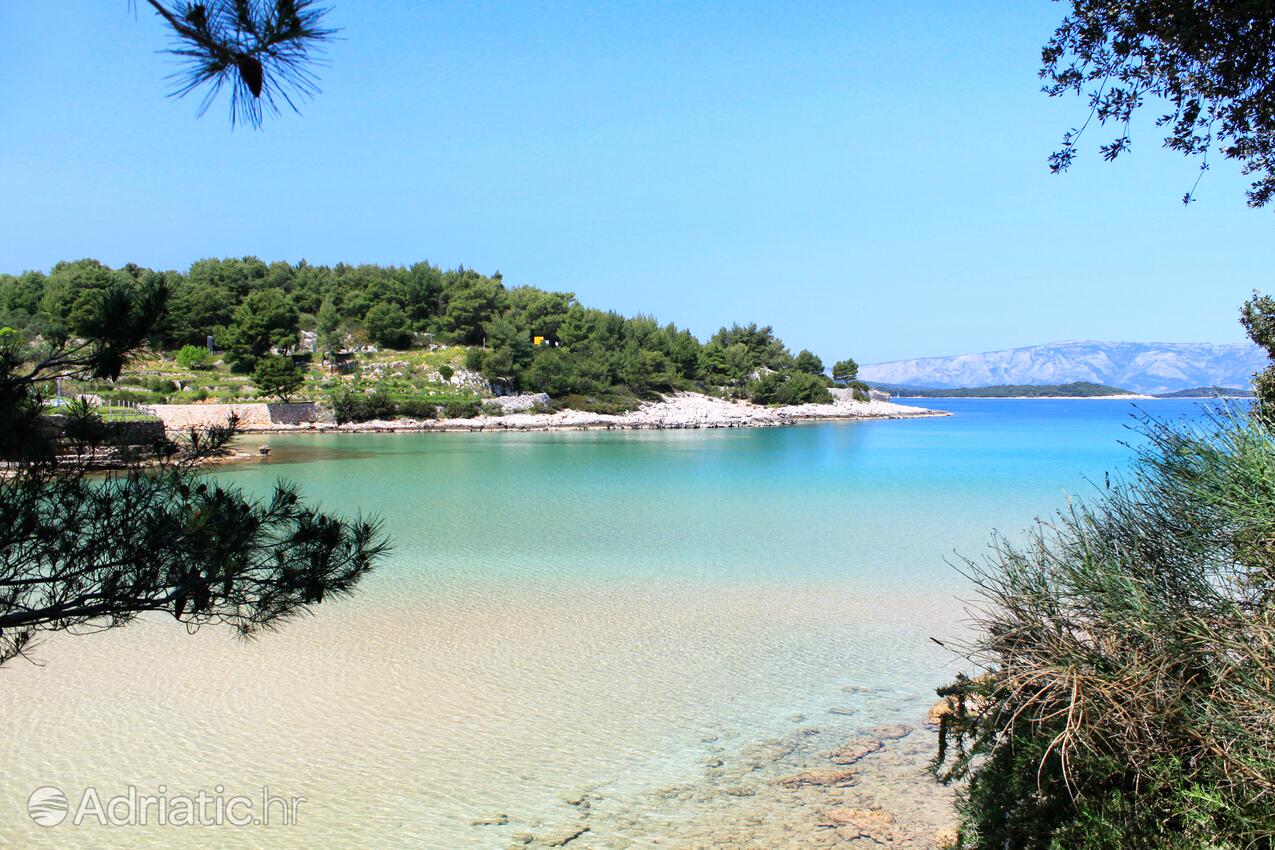 Grebišće sull'isola Hvar (Srednja Dalmacija)