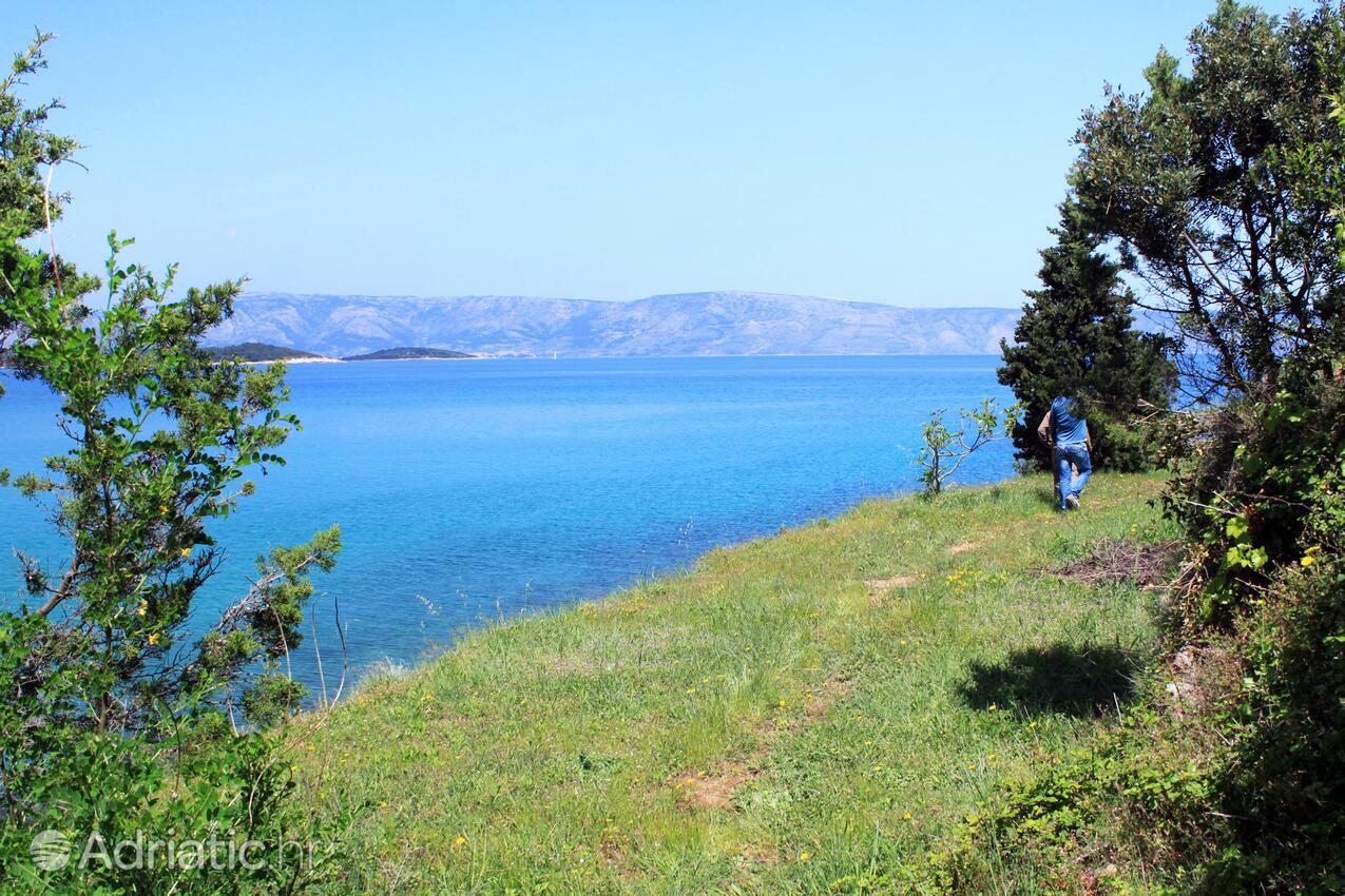 Grebišće op de route Hvar (Srednja Dalmacija)