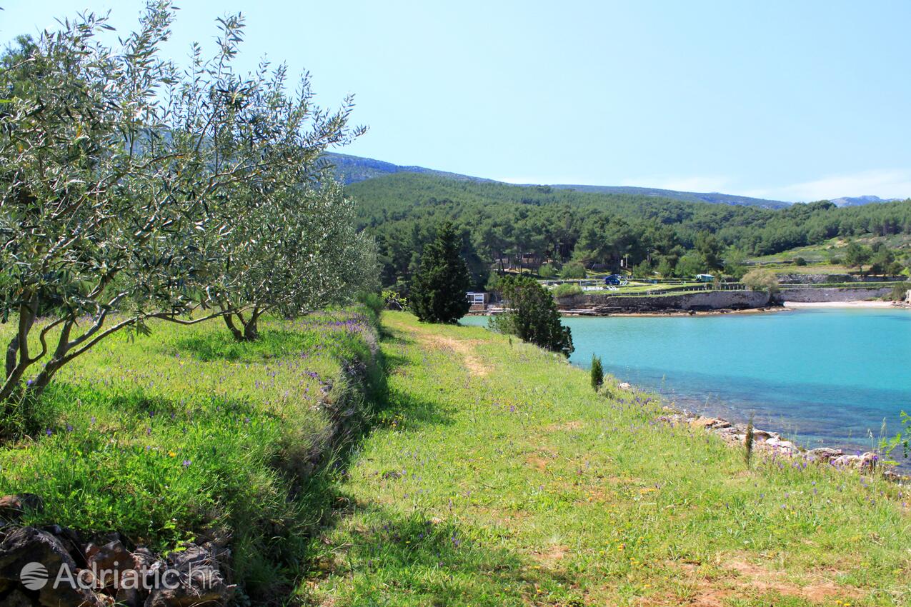 Grebišće op de route Hvar (Srednja Dalmacija)