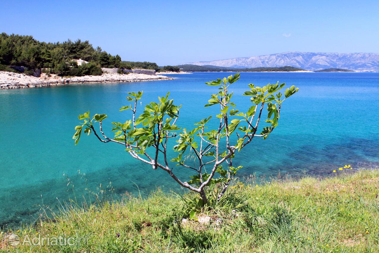 Grebišće op de route Hvar (Srednja Dalmacija)