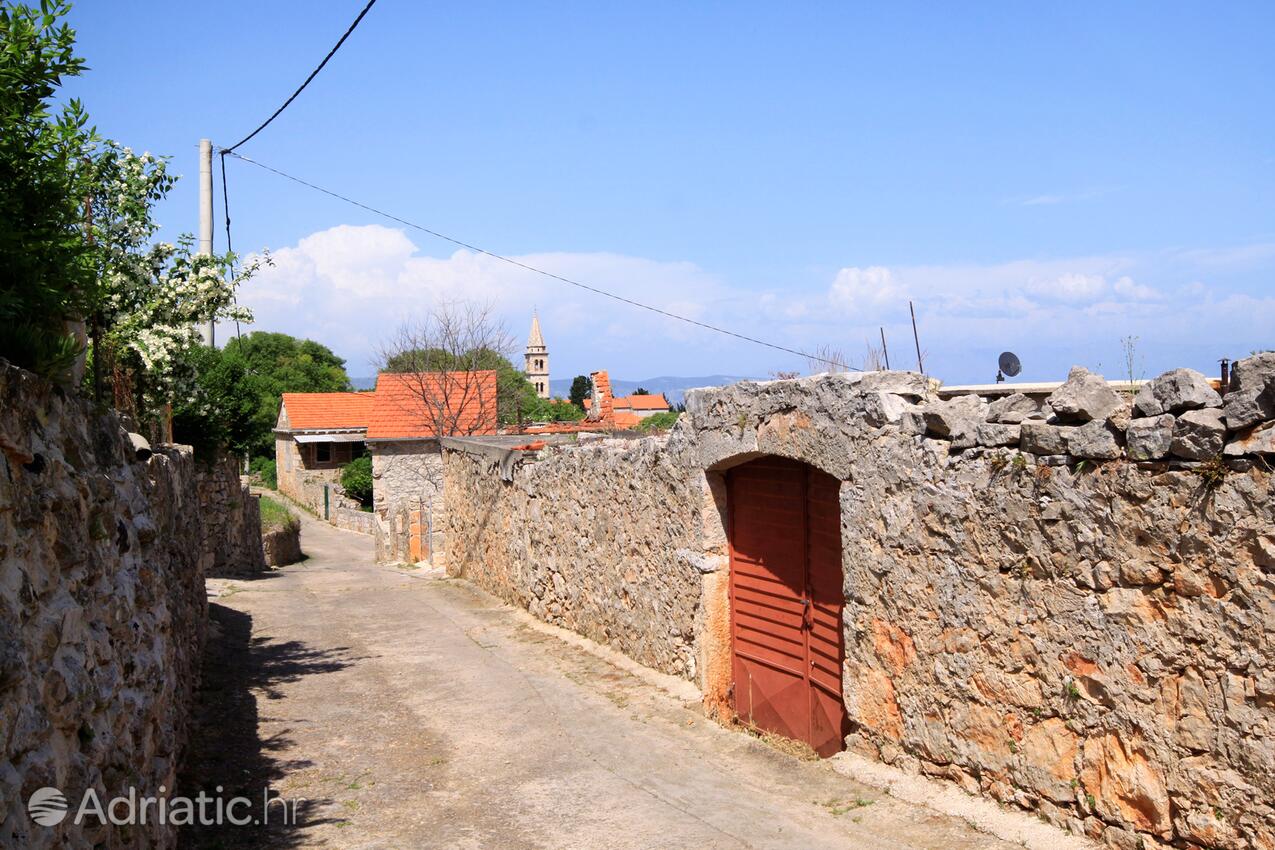 Vrbanj en la isla Hvar (Srednja Dalmacija)