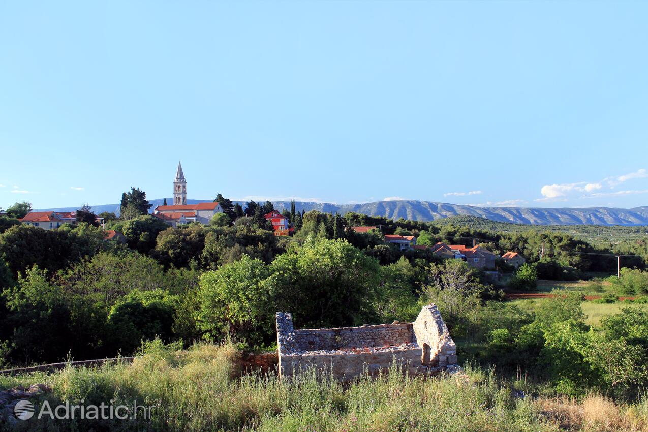 Vrbanj en la isla Hvar (Srednja Dalmacija)