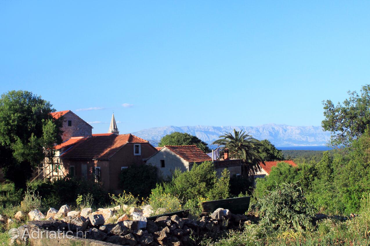Vrbanj na wyspie Hvar (Srednja Dalmacija)