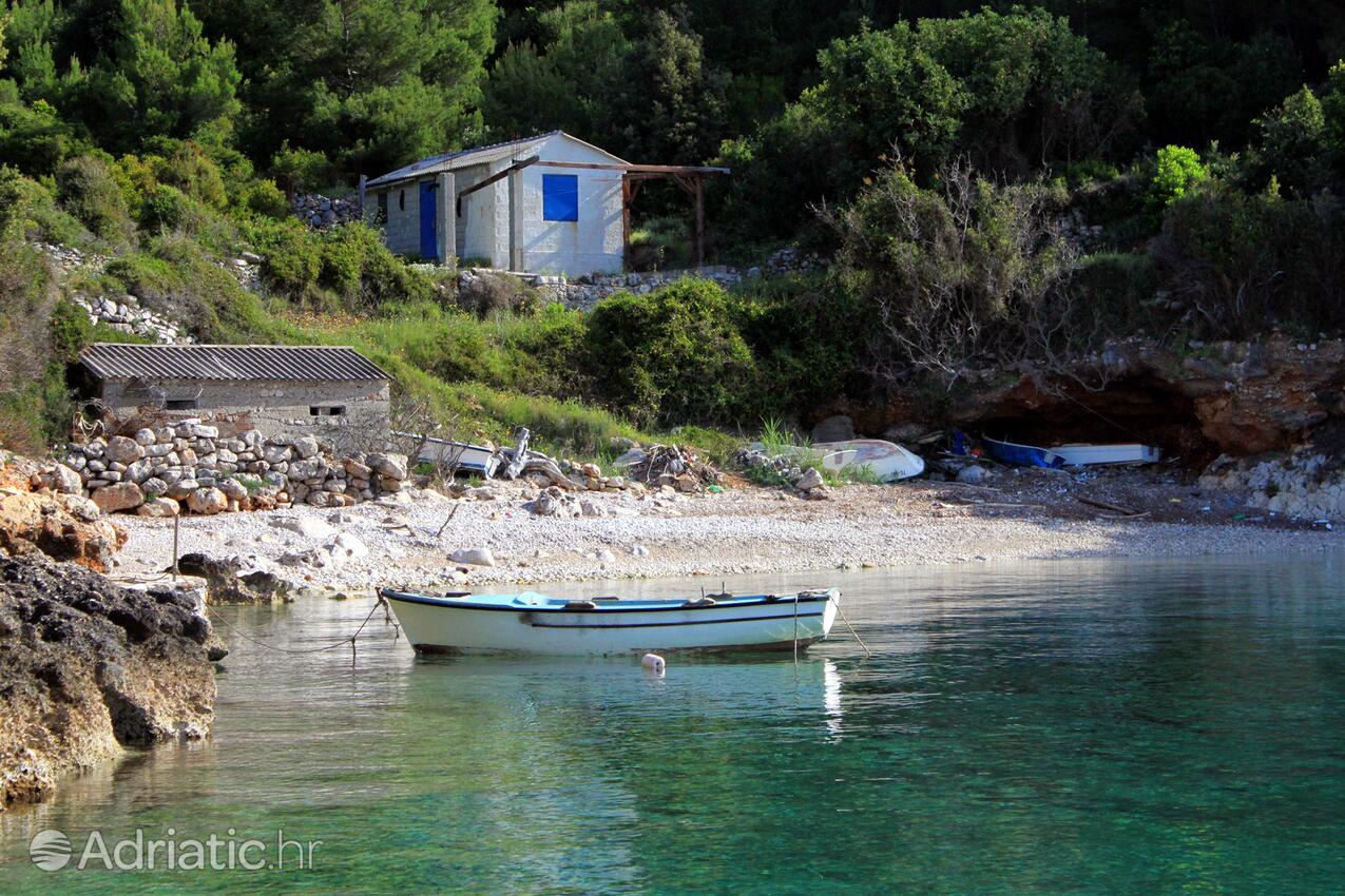 Prisnjak op de route Hvar (Srednja Dalmacija)