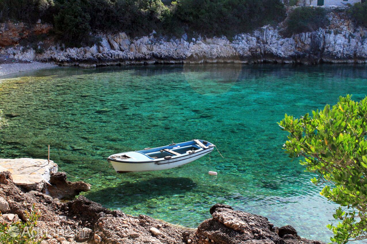 Prisnjak en la isla Hvar (Srednja Dalmacija)