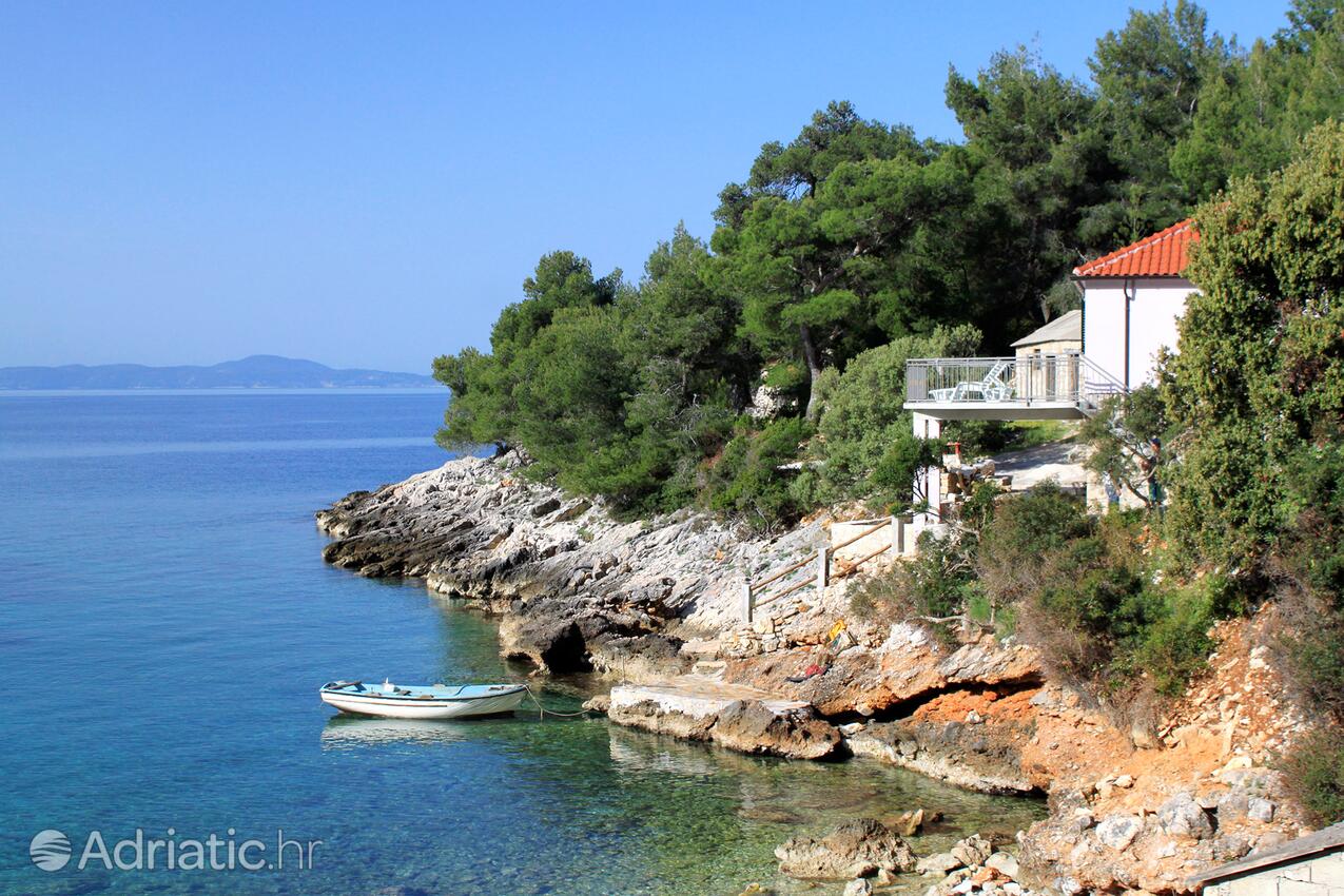 Prisnjak op de route Hvar (Srednja Dalmacija)