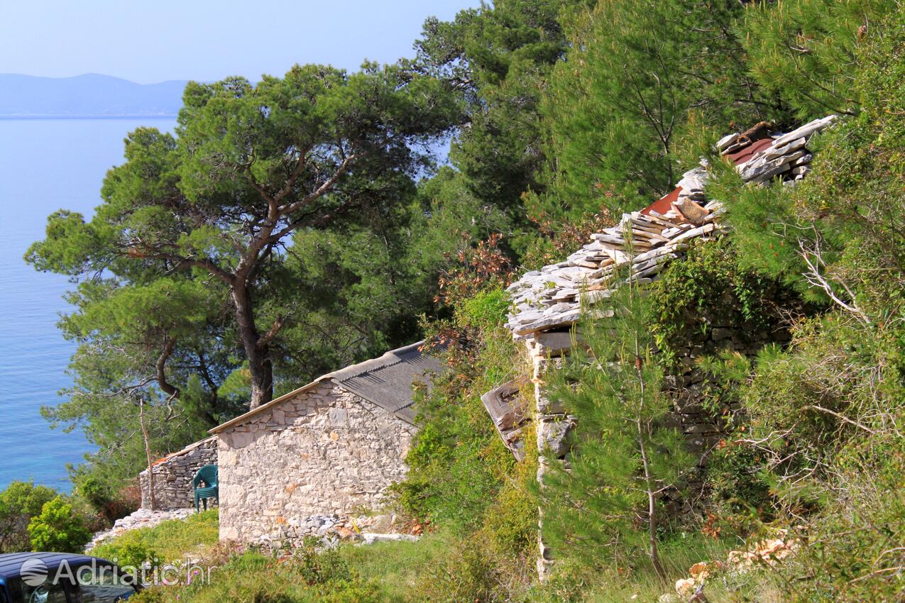 Prisnjak op de route Hvar (Srednja Dalmacija)