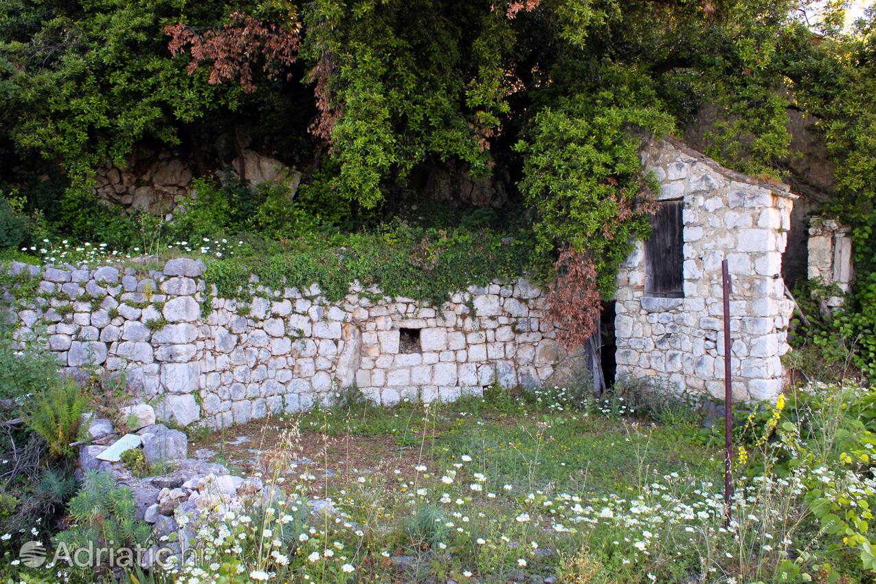 Mihanići na riwierze Dubrovnik (Južna Dalmacija)