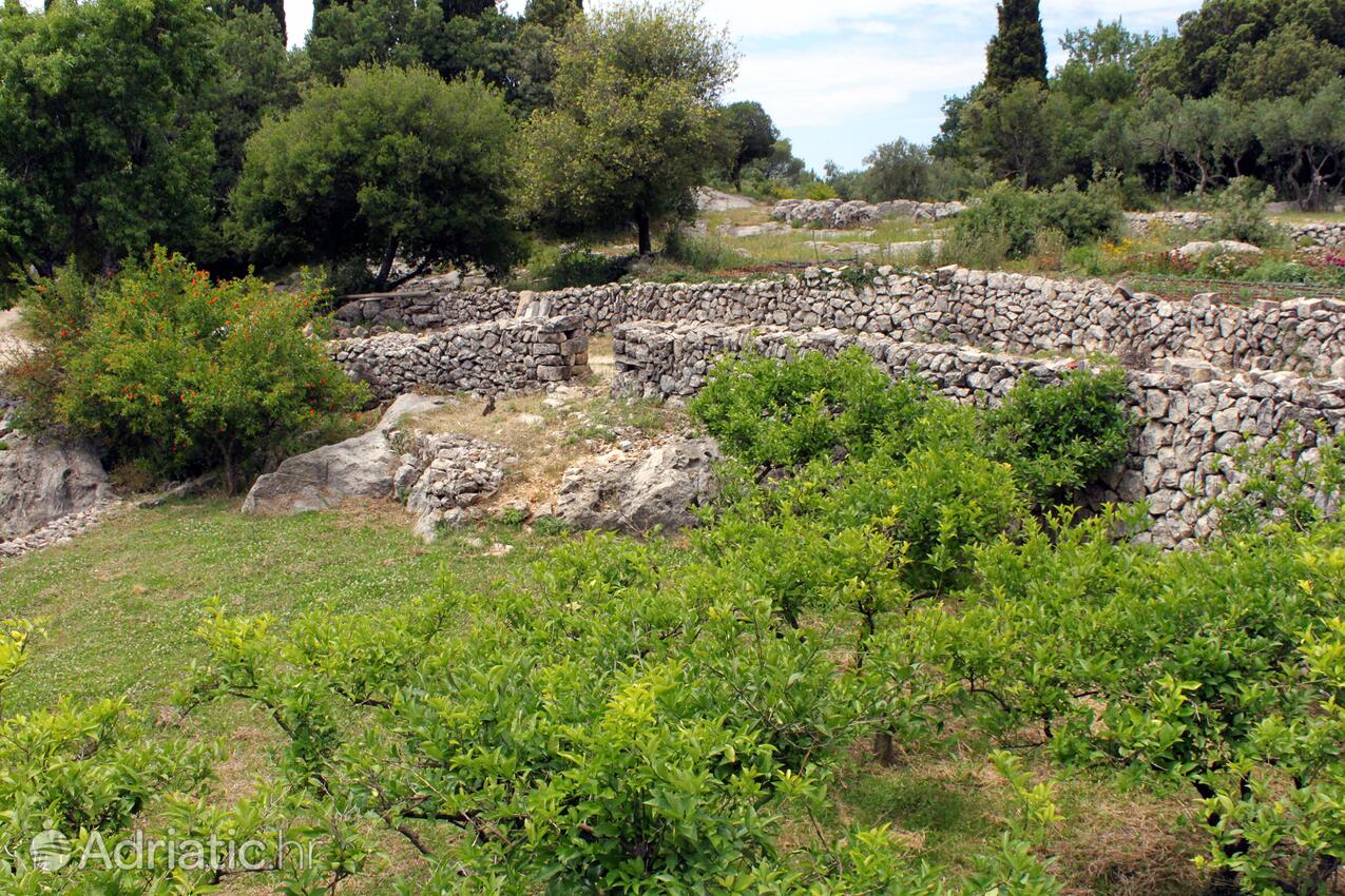 Močići in Riviera Dubrovnik (Južna Dalmacija)