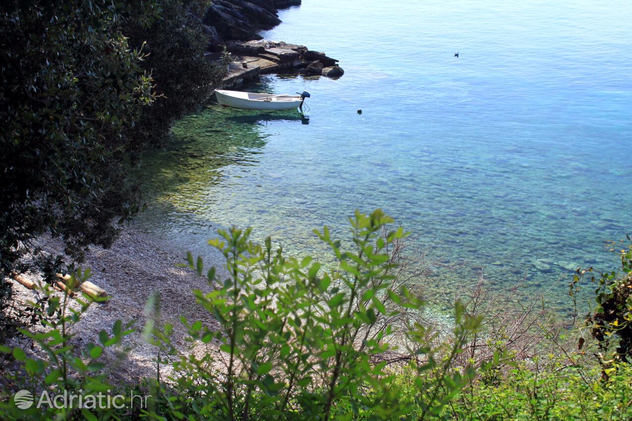 Rapak sur l’île Hvar (Srednja Dalmacija)