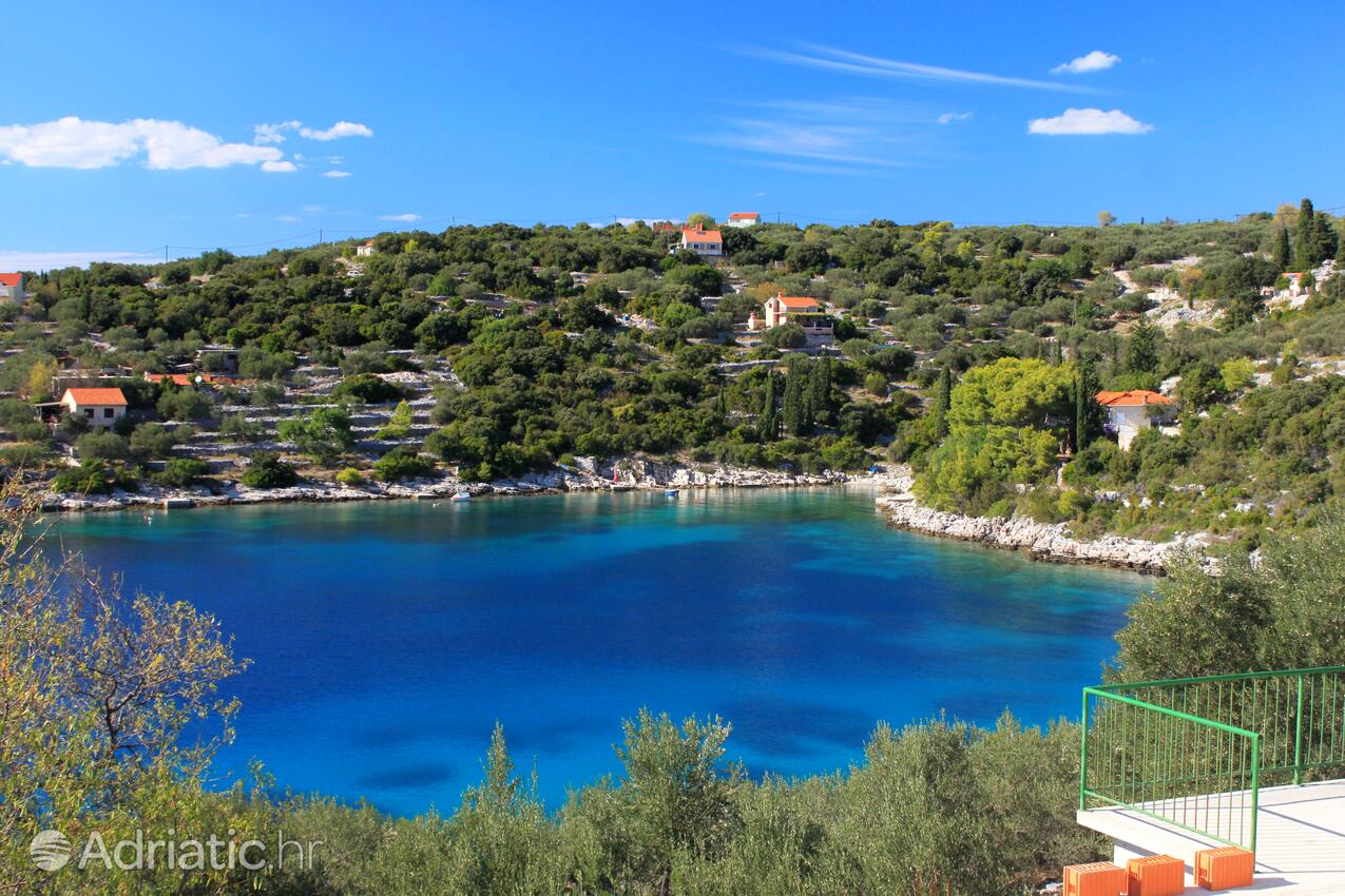 Stratinčica Korčula szigeten (Južna Dalmacija)