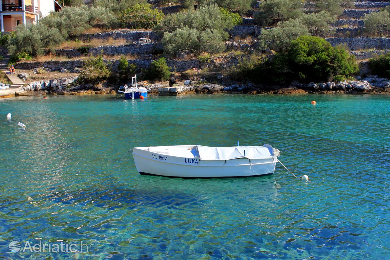 Stratinčica na otoku Korčula (Južna Dalmacija)