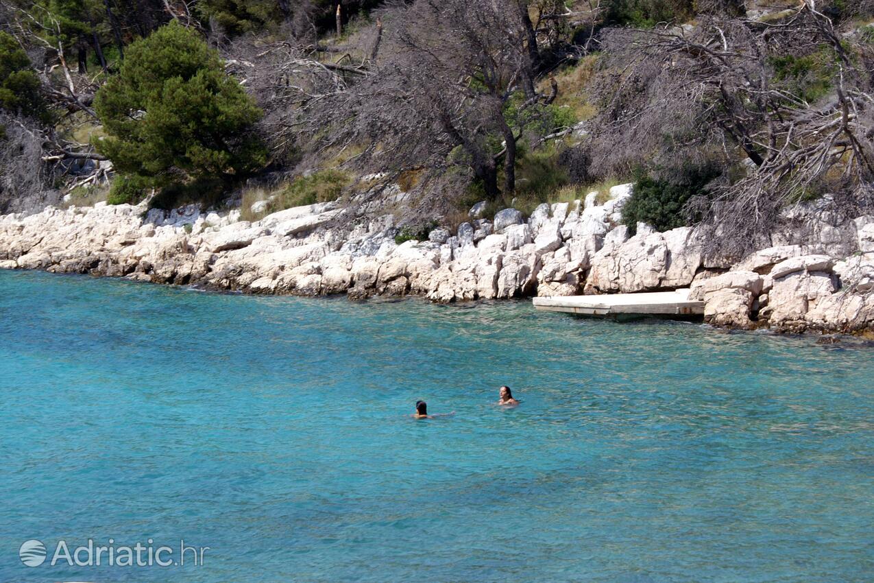 Nearby beaches - Apartments by the sea Šparadići, Šibenik