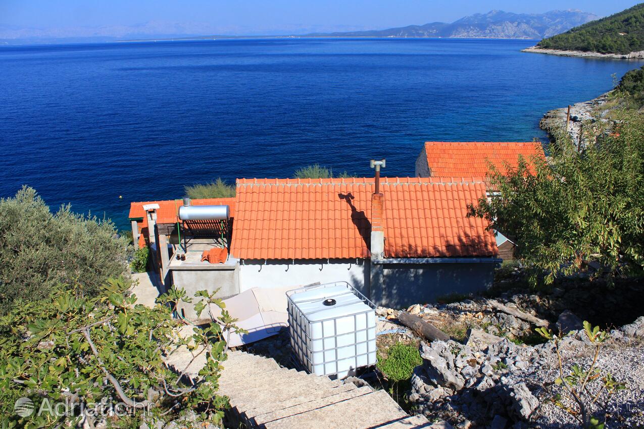 Danca - Babina на острове Korčula (Južna Dalmacija)