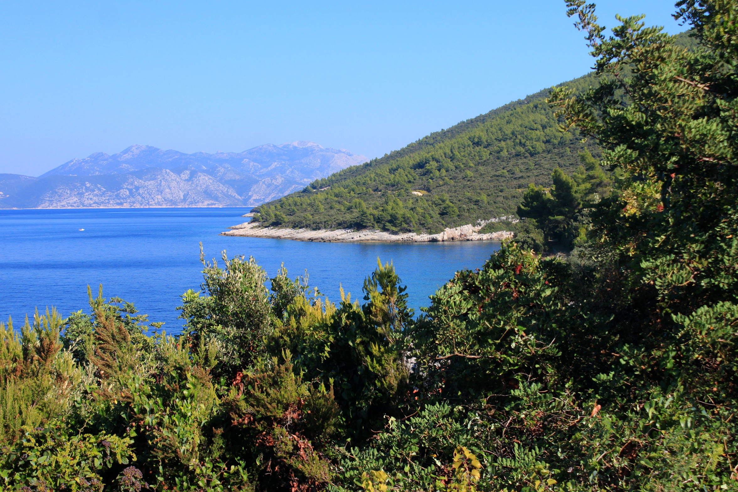 Where to stay in Danca – Babina