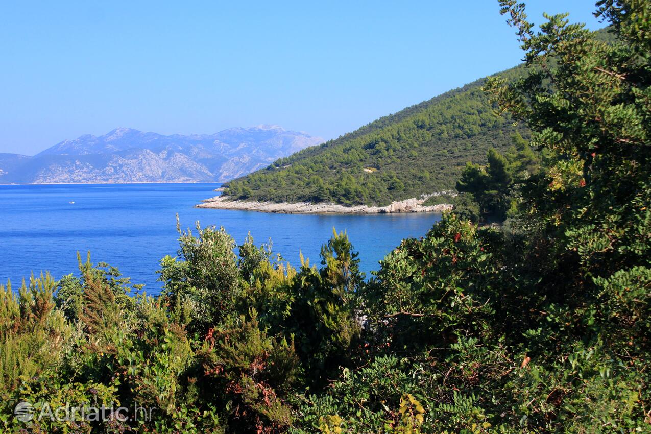 Danca - Babina на острове Korčula (Južna Dalmacija)