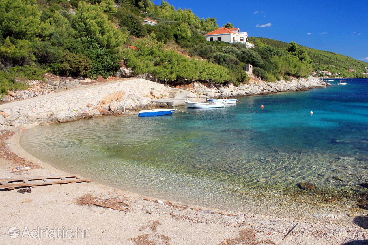 Nearby beaches - Apartments by the sea Cove Zaglav, Korčula