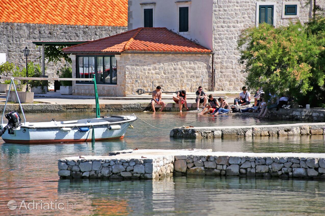 Mali Ston na riwierze Pelješac (Južna Dalmacija)