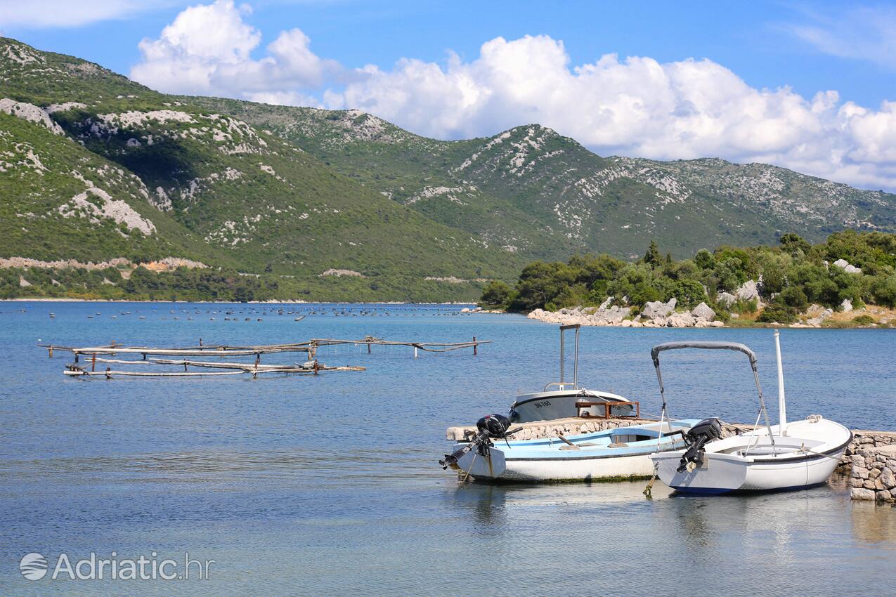 Mali Ston na riwierze Pelješac (Južna Dalmacija)