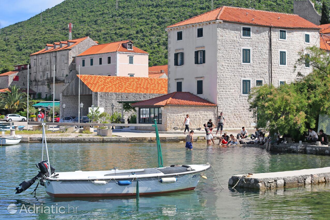Mali Ston na riwierze Pelješac (Južna Dalmacija)