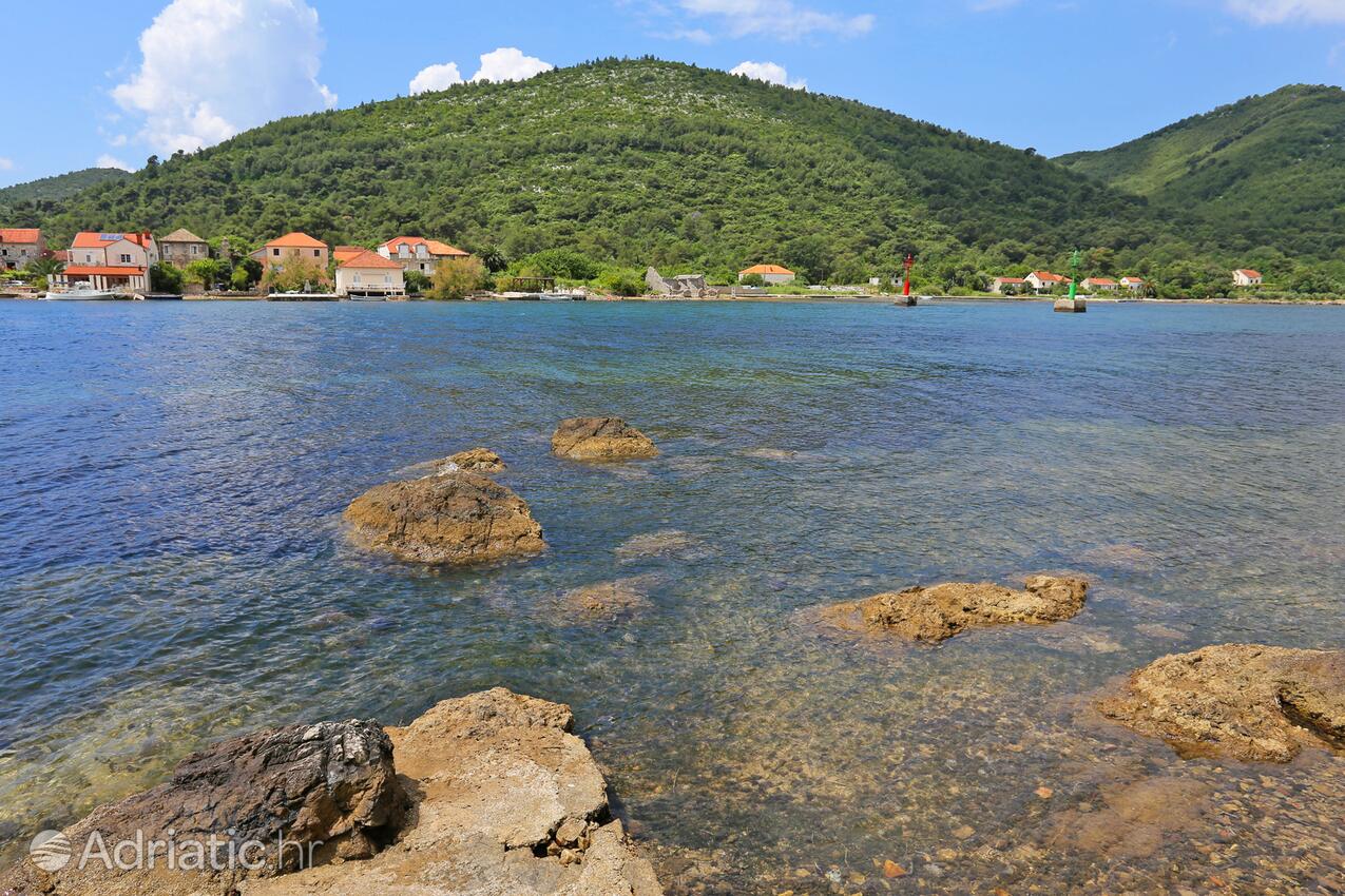 Nearby beaches - Apartments and rooms with parking space Mali Ston, Pelješac