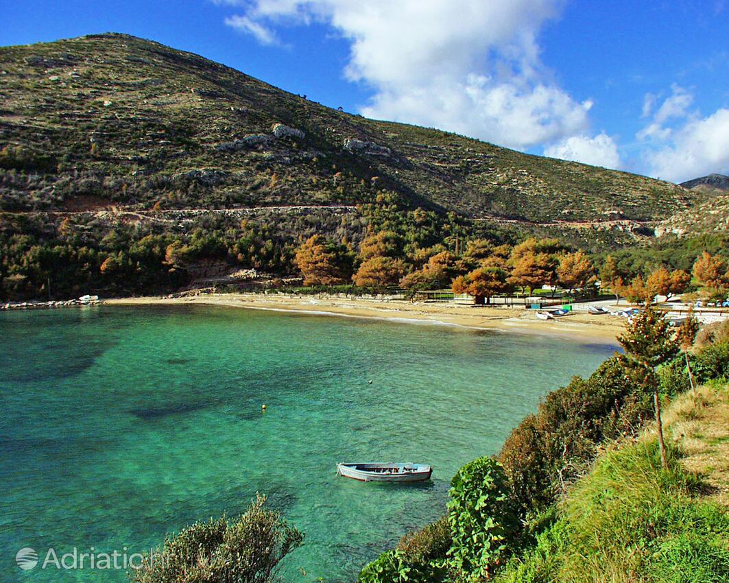 Nearby beaches - Apartments and rooms with parking space Mali Ston, Pelješac