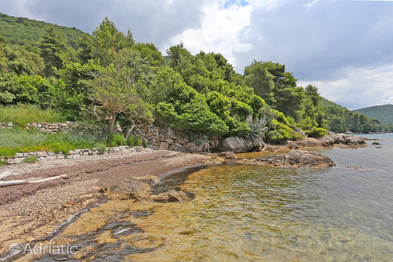 Nearby beaches - Apartments and rooms with parking space Mali Ston, Pelješac