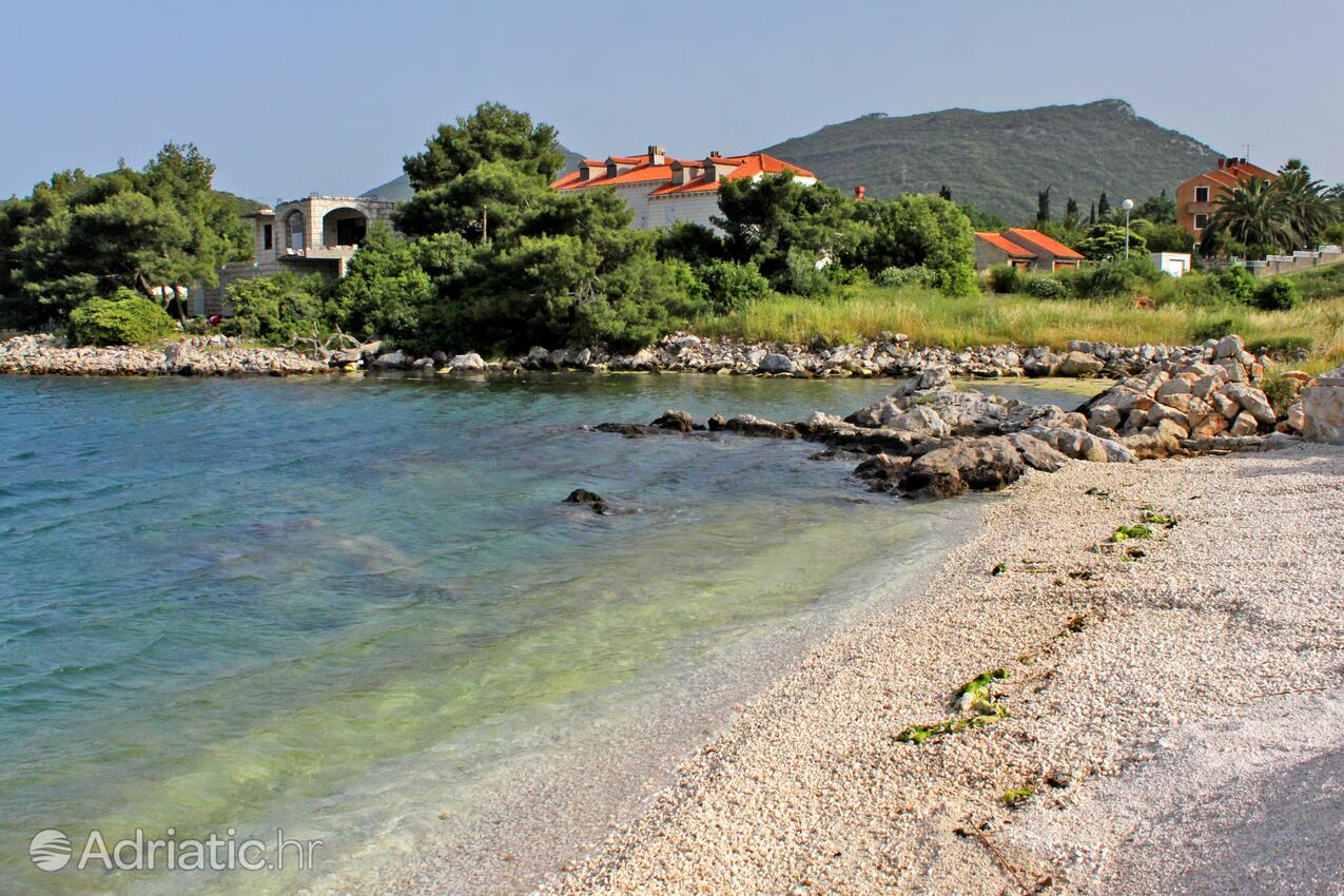 Nearby beaches - Apartments and rooms with parking space Mali Ston, Pelješac
