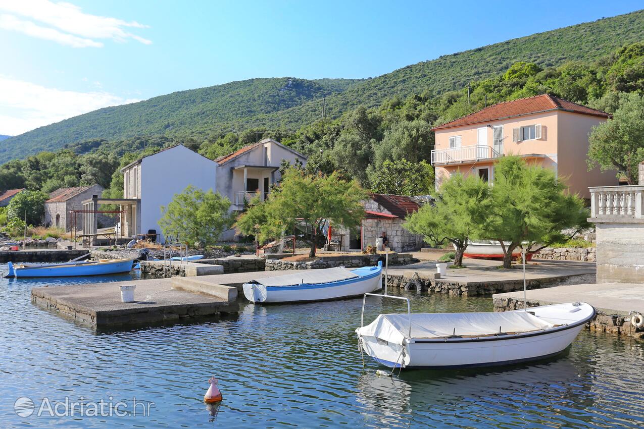 Žuronja - Apartments by the sea Žuronja, Pelješac