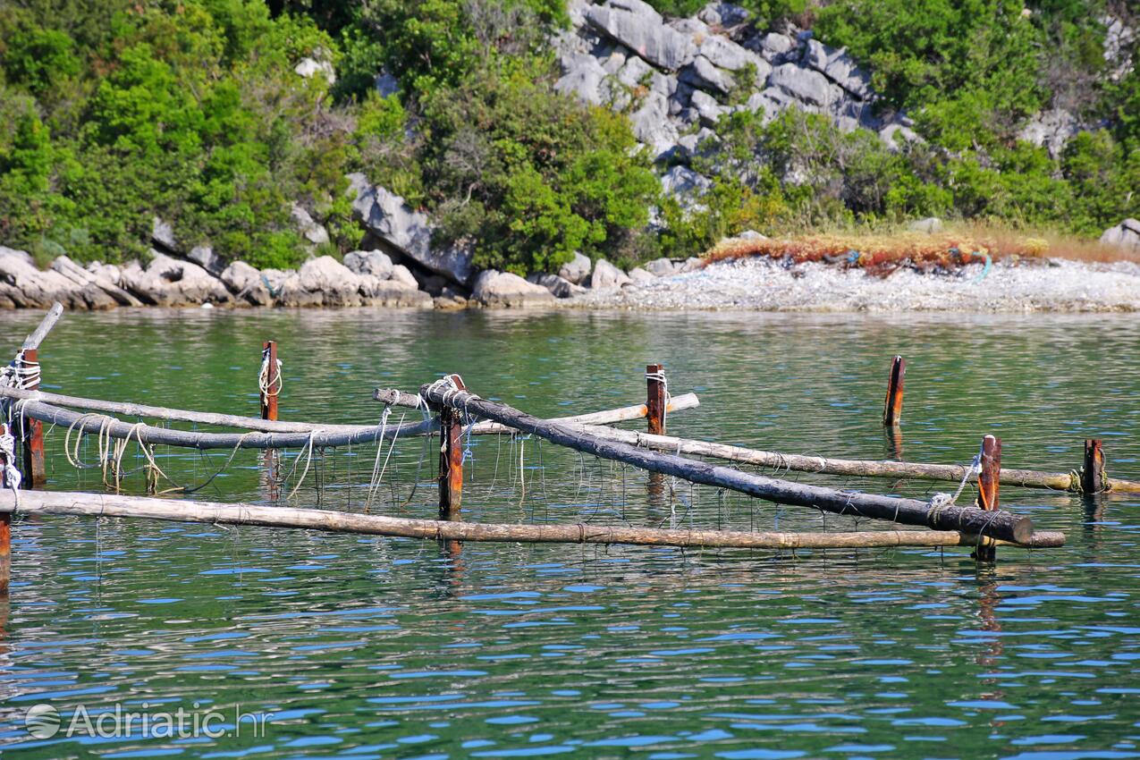 Žuronja - Apartments by the sea Žuronja, Pelješac