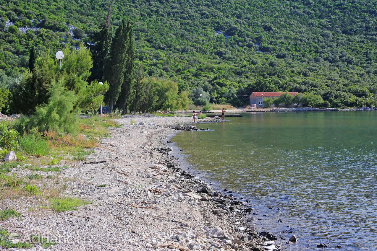 Nearby beaches - Apartments by the sea Žuronja, Pelješac