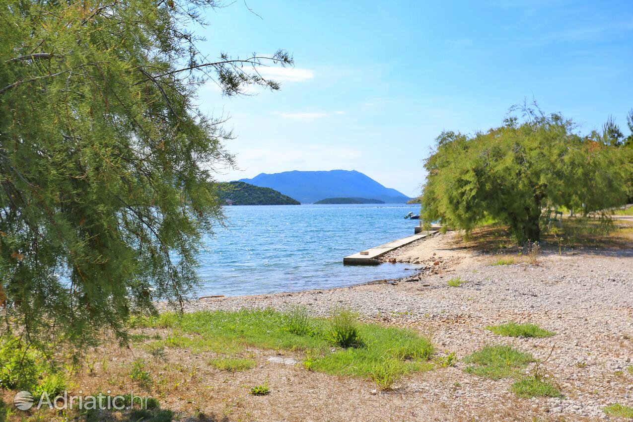 Nearby beaches - Apartments by the sea Žuronja, Pelješac