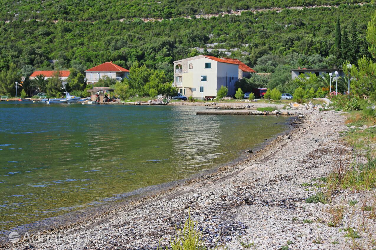 Nearby beaches - Apartments by the sea Cove Pještata, Pelješac